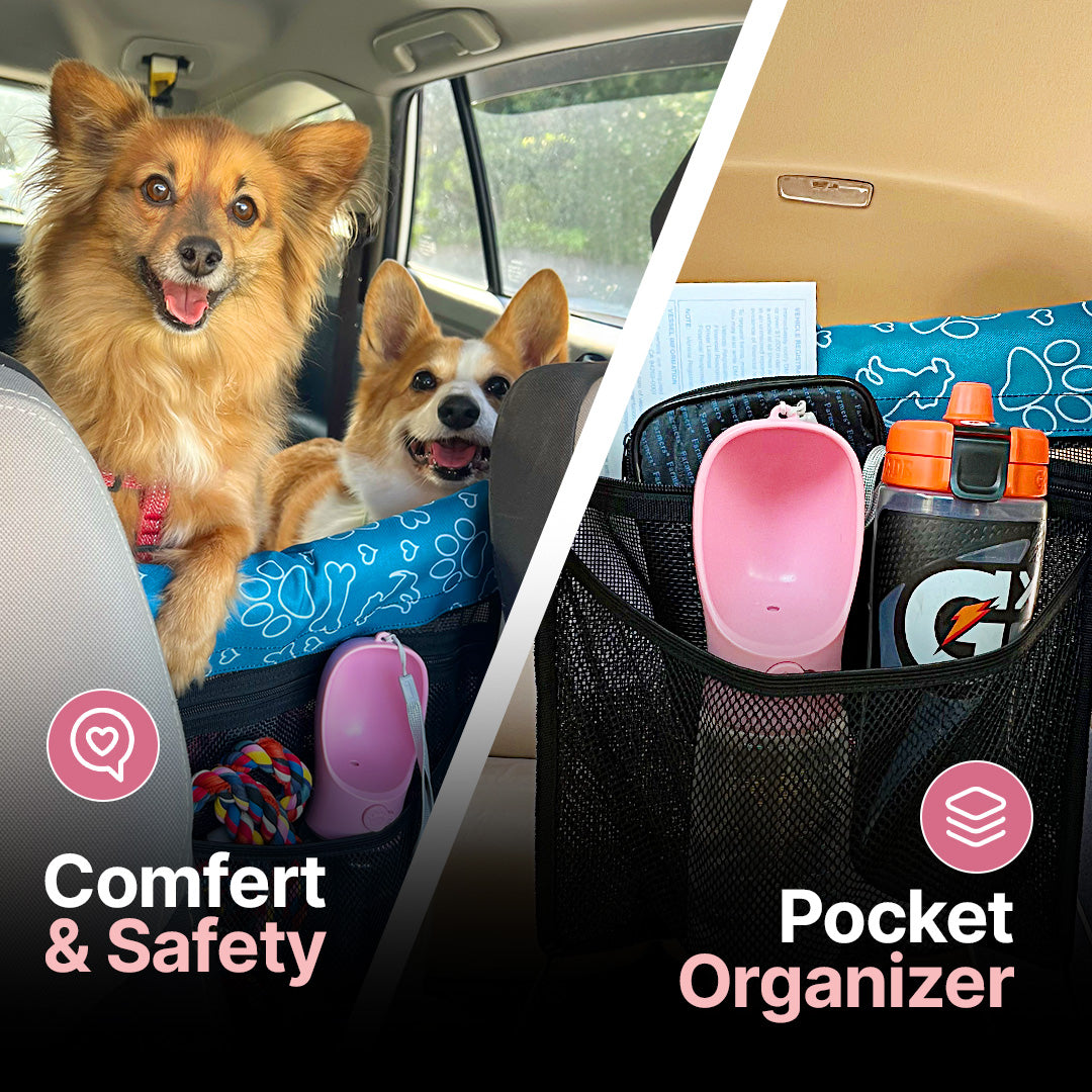 PAW-WALL: The Ultimate Travel Solution for Pet Owners!