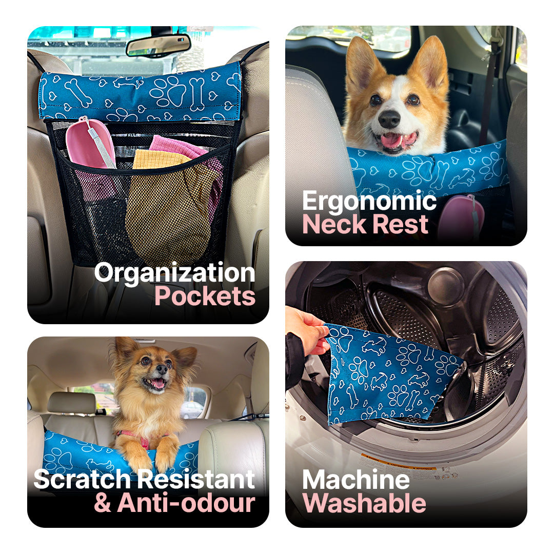 PAW-WALL: The Ultimate Travel Solution for Pet Owners!